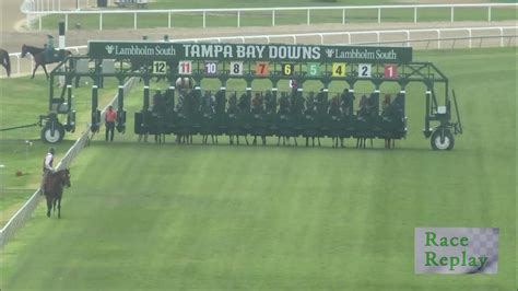 Youtube tampa bay downs live stream. Things To Know About Youtube tampa bay downs live stream. 